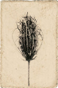 Francesco Viscuso