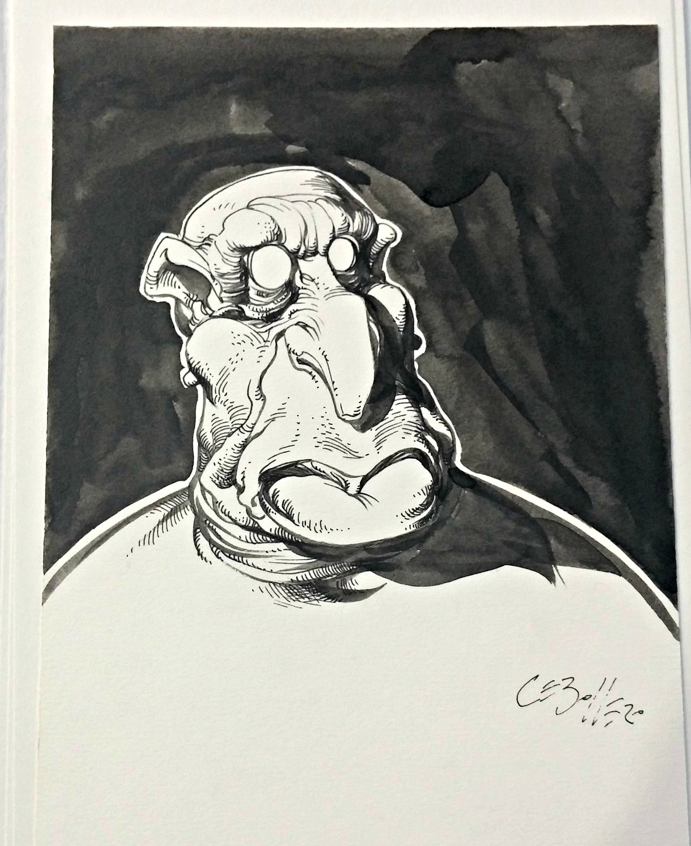 Jhon Cebollero