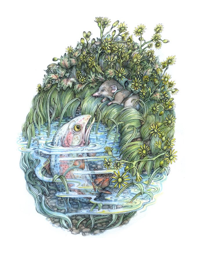 ADAM OEHLERS